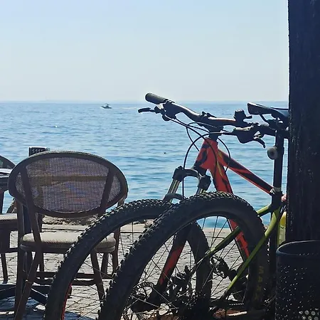 Bed & Breakfast Le Zampolle 4*
