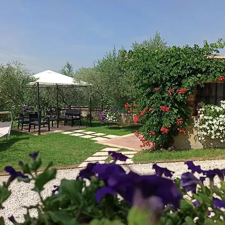 Bed & Breakfast Le Zampolle