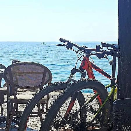 Le Zampolle 4* Colà