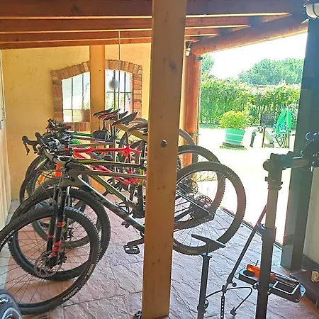 Bed and Breakfast Le Zampolle