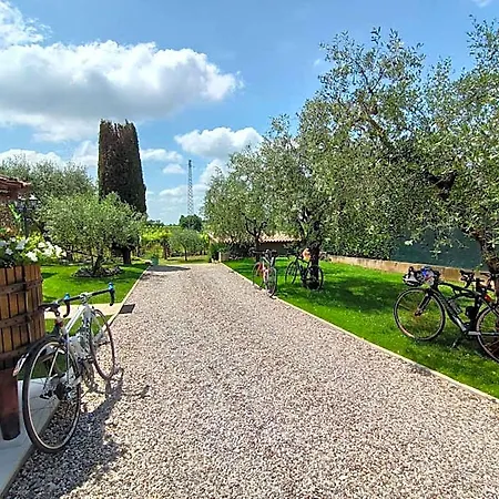 Bed & Breakfast Le Zampolle