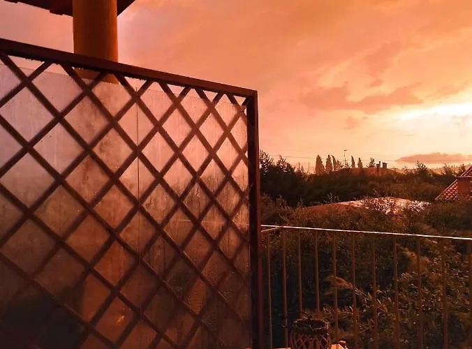 Le Zampolle Cola (Verona)
